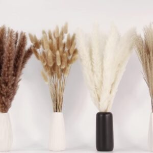 Dried Pampas Grass