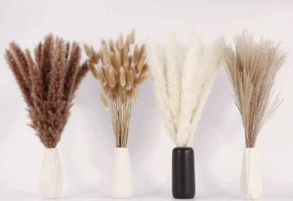 Dried Pampas Grass